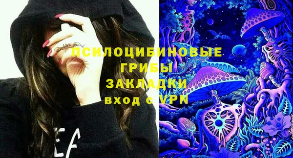 хмурый Алзамай